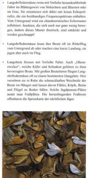 Faltblatt 'Die Langohren' (Seite 3)